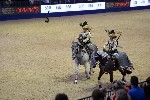Quadrille - 00898